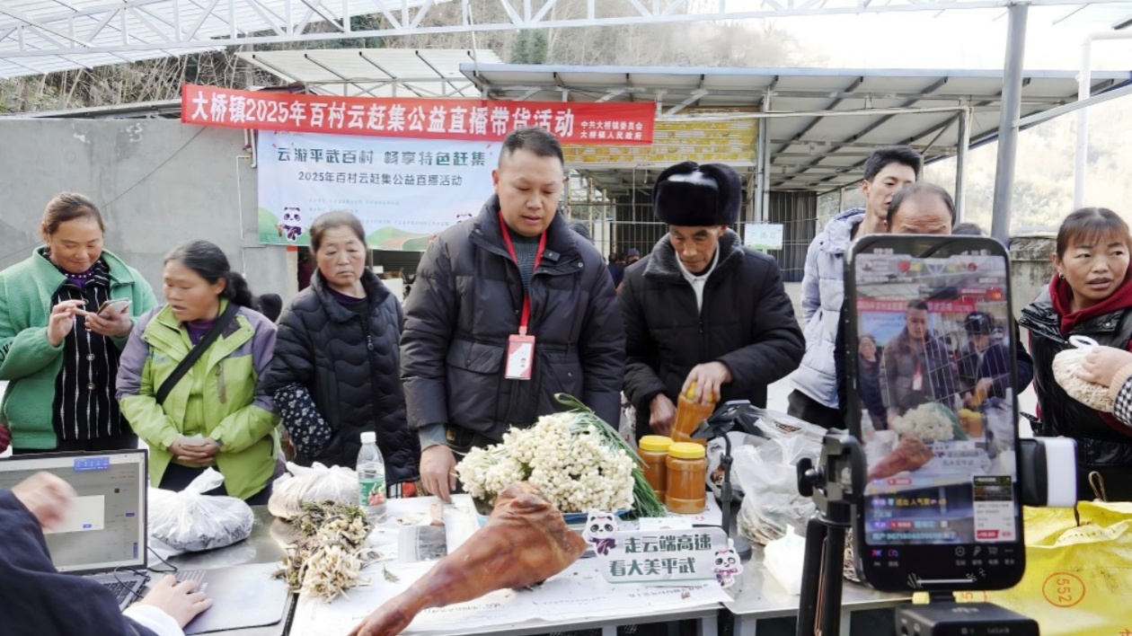無人機+直播助力  四川平武山野菜「飛」出深山暢銷全國