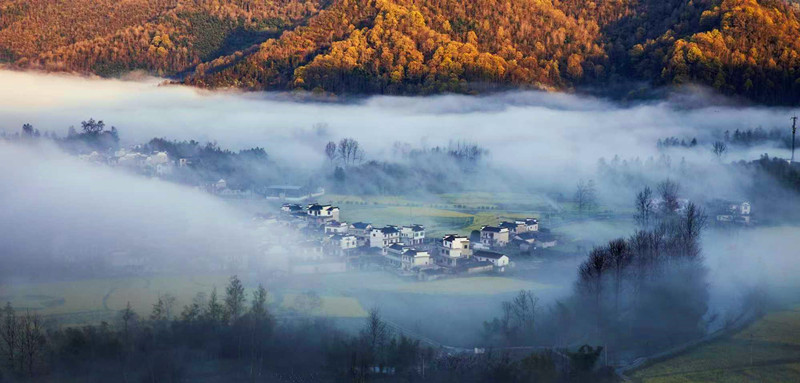 風景照成柯村「招貼畫」——一個土菜館老闆鏡頭裡的鄉愁與眷戀