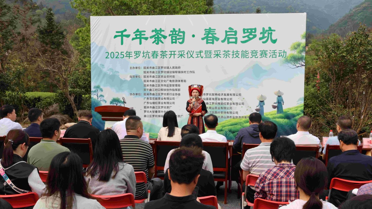 春有約 茶香溢 廣東曲江羅坑鎮春茶開採儀式暨採茶技能競賽盛大舉行