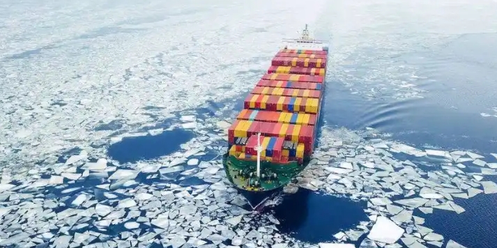 普京：俄方主張在北極開展平等合作