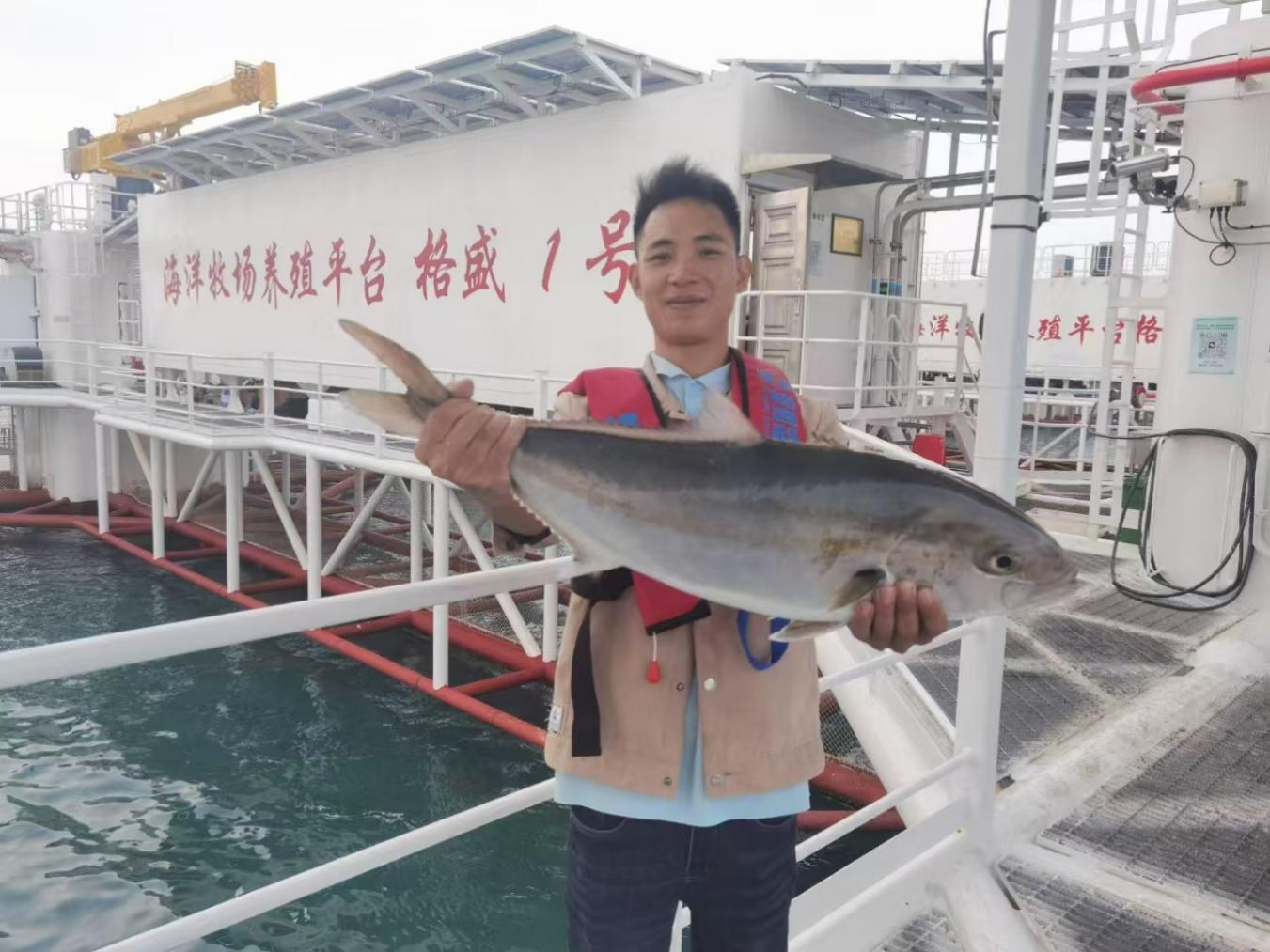 「格盛1號」試養章紅魚起捕上市