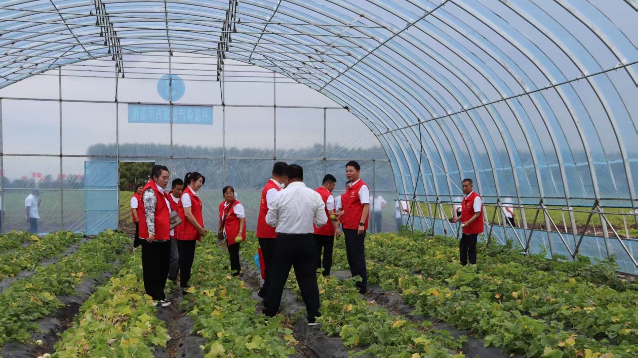 全省唯一入選！黑龍江寶清縣「領頭雁」工程入選黨建引領鄉村治理典型案例