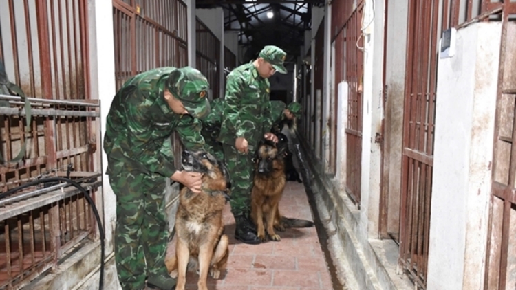 越南軍隊準備進入緬甸救災