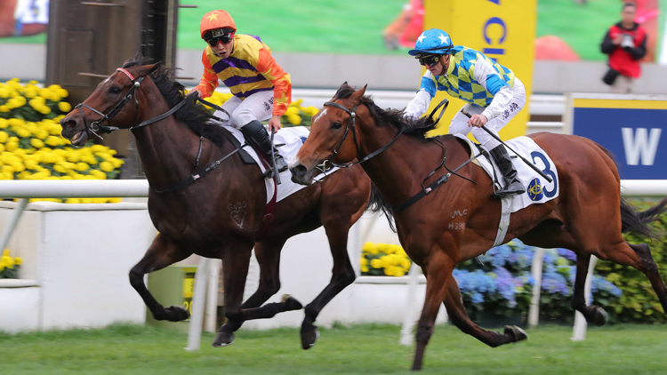 有片 | 潘明輝技勝潘頓 直線力山爆冷捧主席錦標