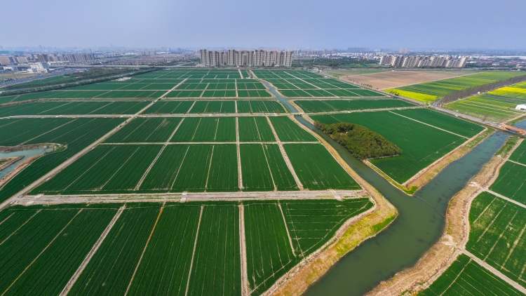 中辦國辦印發《逐步把永久基本農田建成高標準農田實施方案》 到2030年力爭建成13.5億畝高標準農田