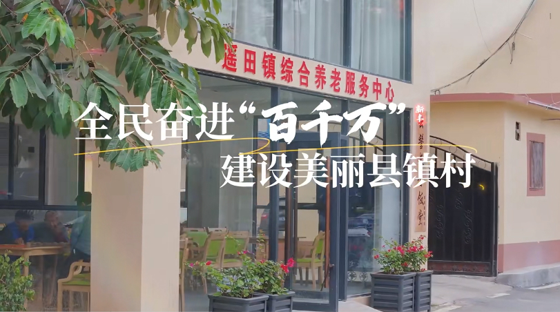 廣東新豐創新實踐「百千萬工程」 全民參與譜寫鄉村振興新篇章