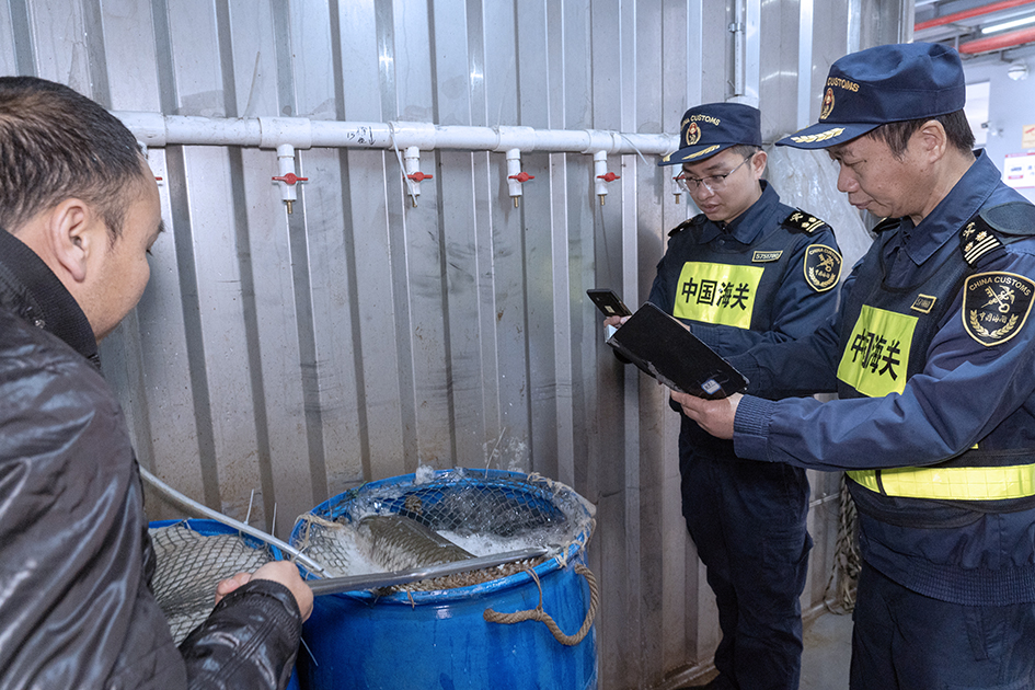 拱北海關內地供澳產品無紙化通關再添新舉措