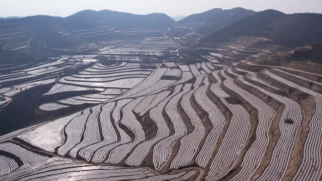 甘肅靜寧：覆膜保墒促增收 萬畝梯田披銀裝
