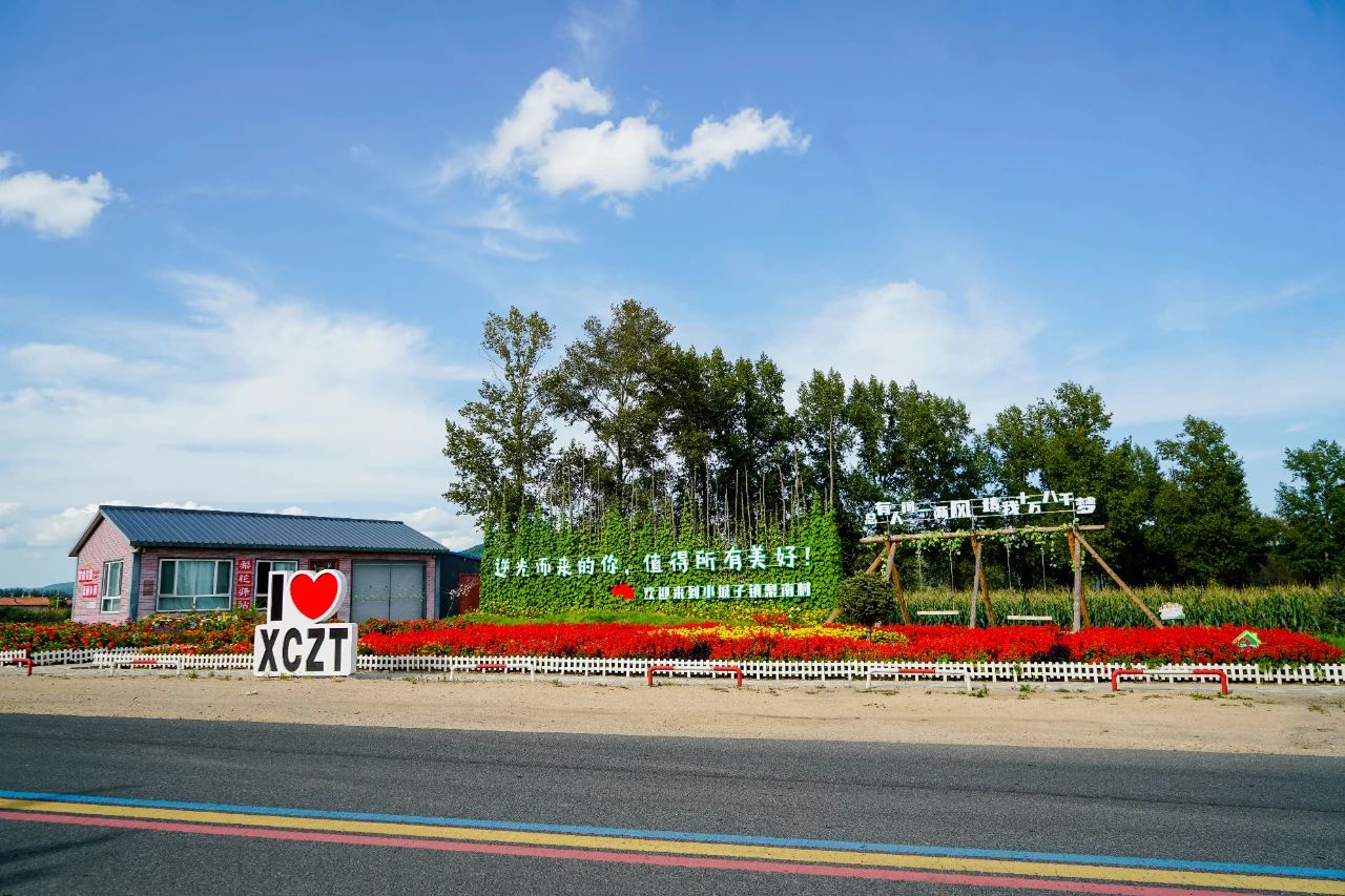 黑龍江寶清：小資金撬動鄉村大轉變