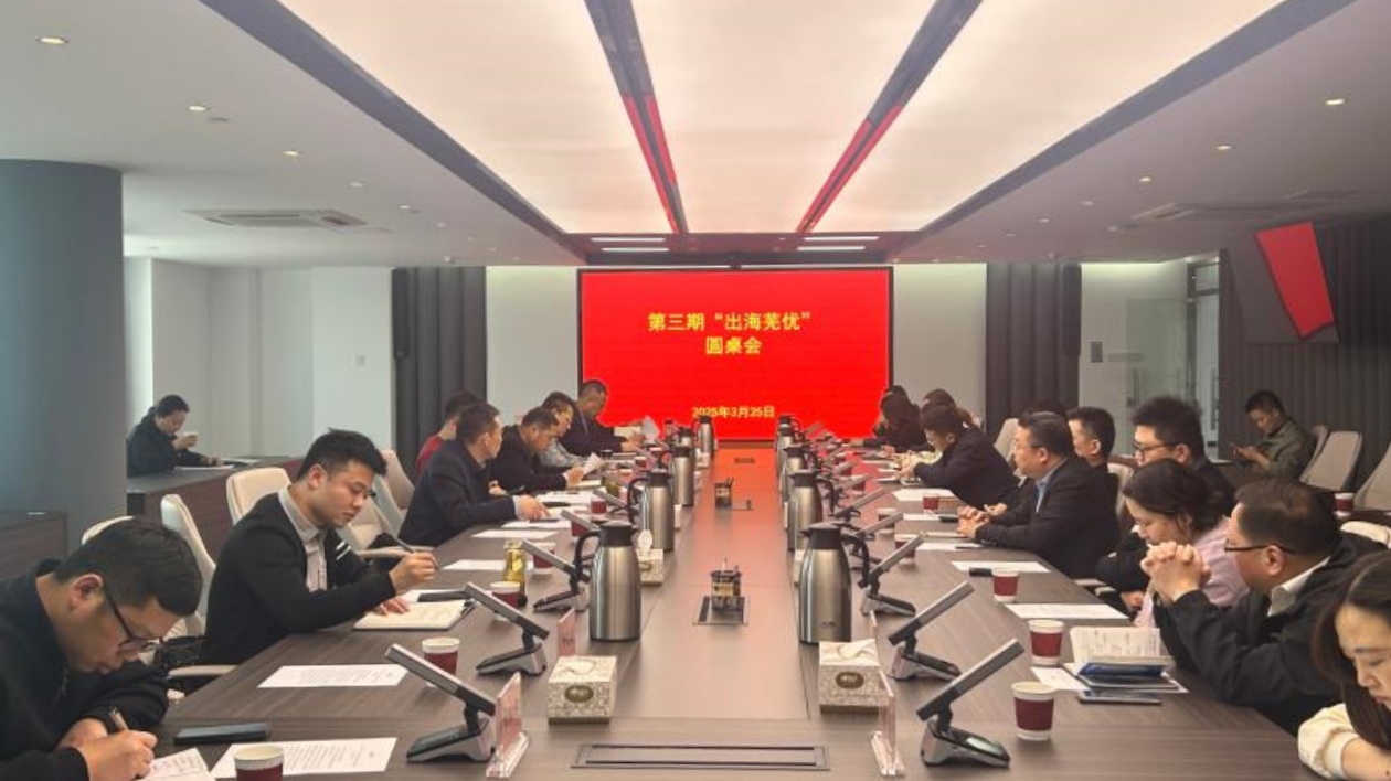 蕪湖舉辦「出海蕪優」圓桌會  助推企業高質量走出去