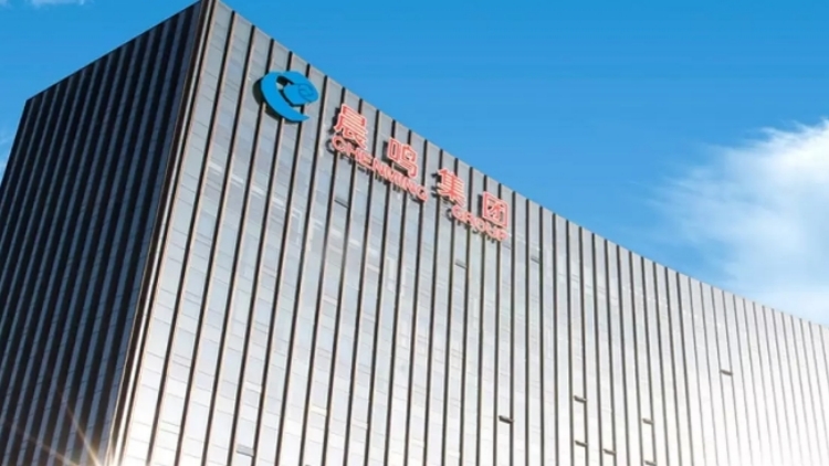 山東晨鳴紙業集團股份有限公司 關於召開2024年度股東大會的通知