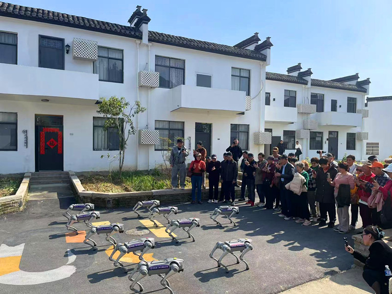 讓「過客」變「常客」 皖黟縣發力康養旅居激活「銀髮經濟」