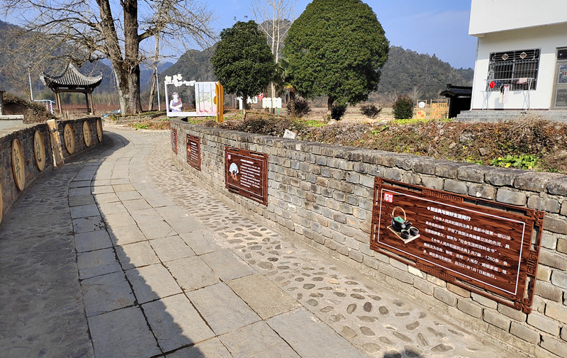 皖黟縣宏潭：田園映法韻 古樹話鄉情