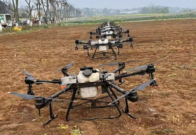 四川綿陽：創新提升「社會化服務」效能　助力「農業現代化」加速發展