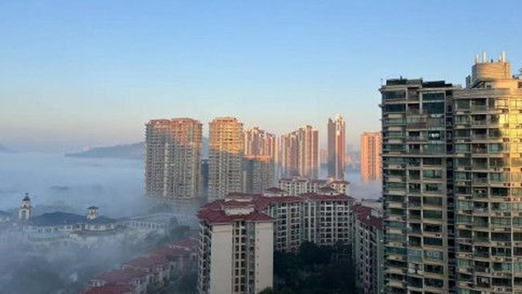 廣東多地終於「解凍」！清明天氣又要「變臉」