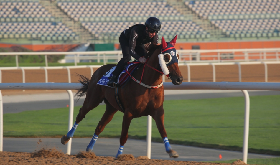 有片丨迪拜世界盃直擊 「知足常樂」麥道朗親操 羅富全提兩匹強敵
