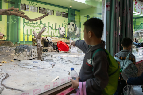來自星星的孩子在長隆野生動物世界開啟沉浸式自然之旅