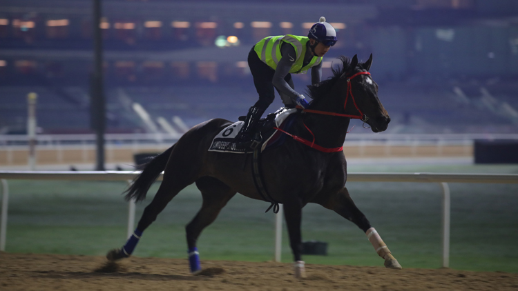 有片 |【迪拜世界盃賽馬日直擊】到場睇嫡愛心快試 蔡約翰：狀態很好