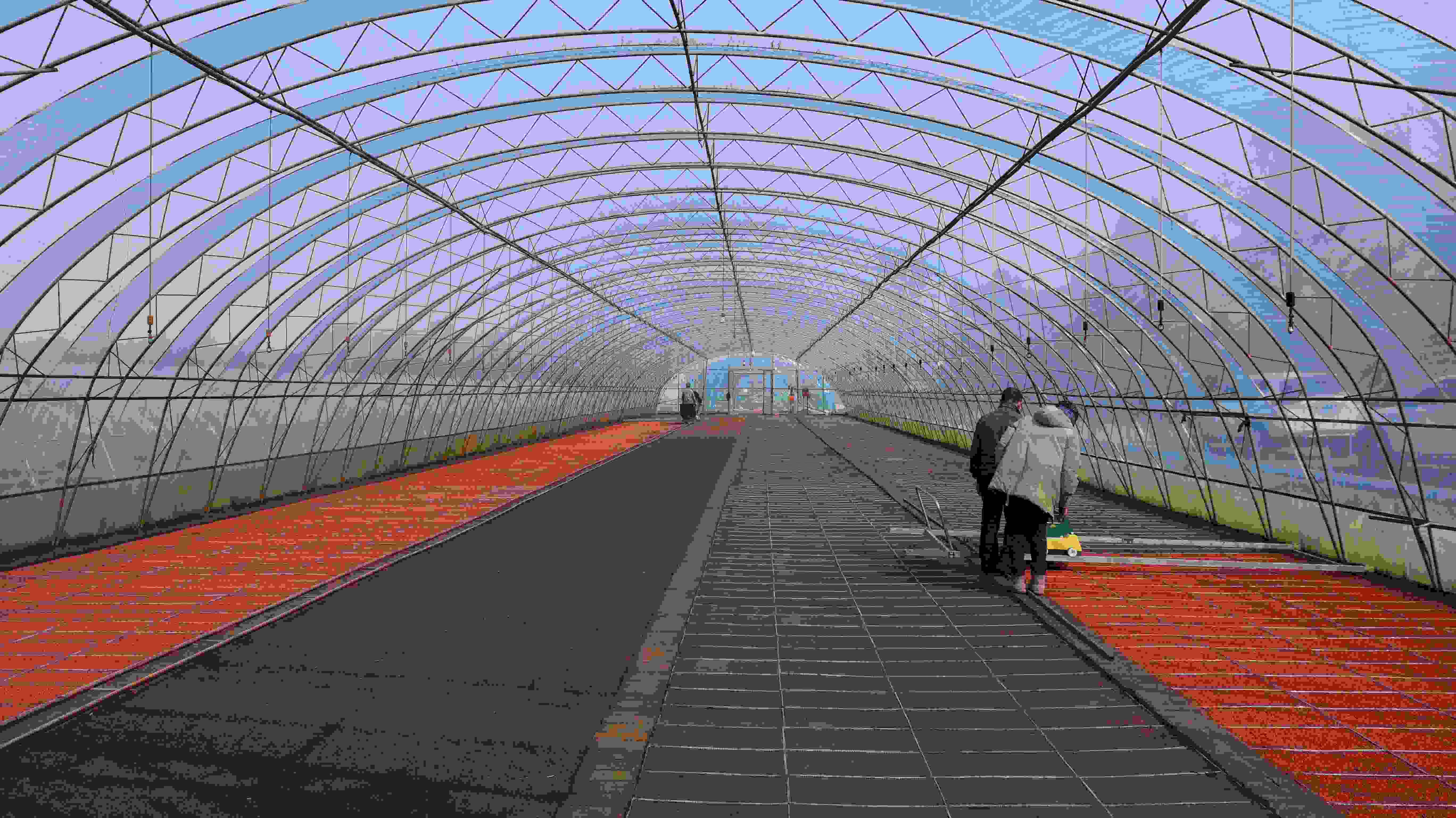 北大荒江濱分公司：又「稻」一年播種時 人勤春早育秧忙