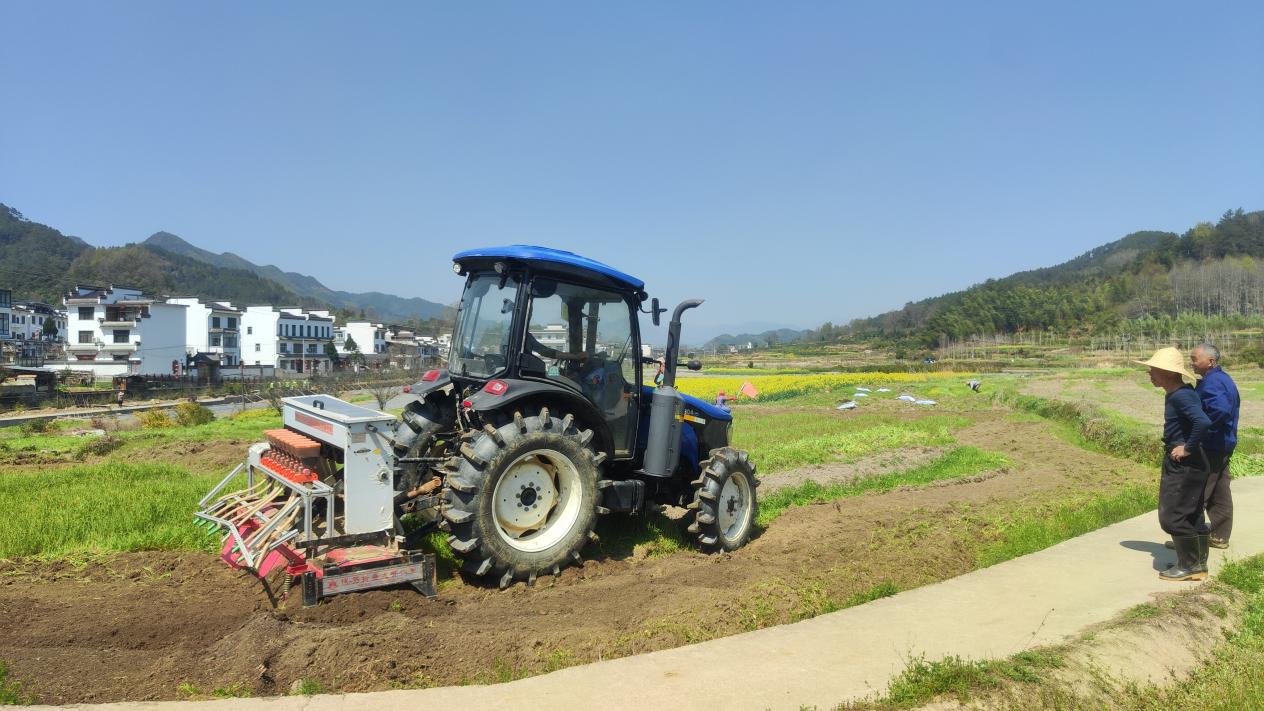 皖徽州呈坎鎮：深化農村改革 推動農業提質增效