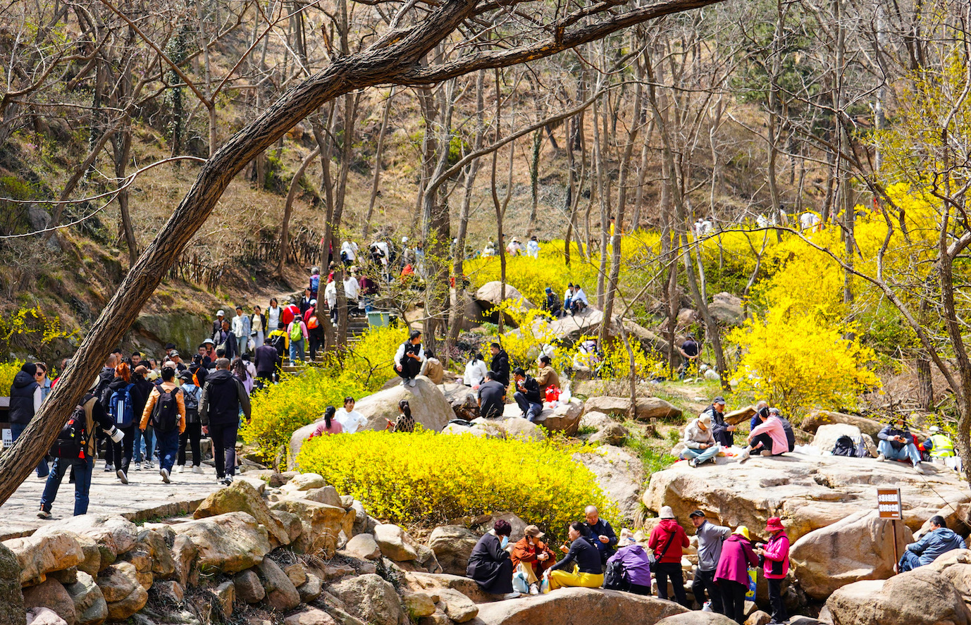 2025青島「花開西海岸」春遊季啟動