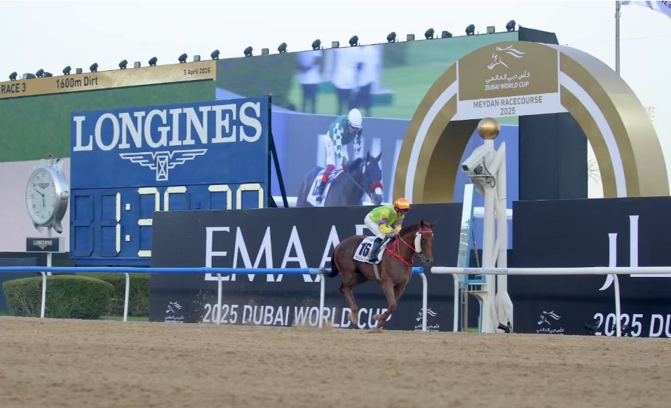 有片 | 迪拜世界盃賽馬日直擊 港隊出師不利 知足常樂包尾 嫡愛心受傷拉停