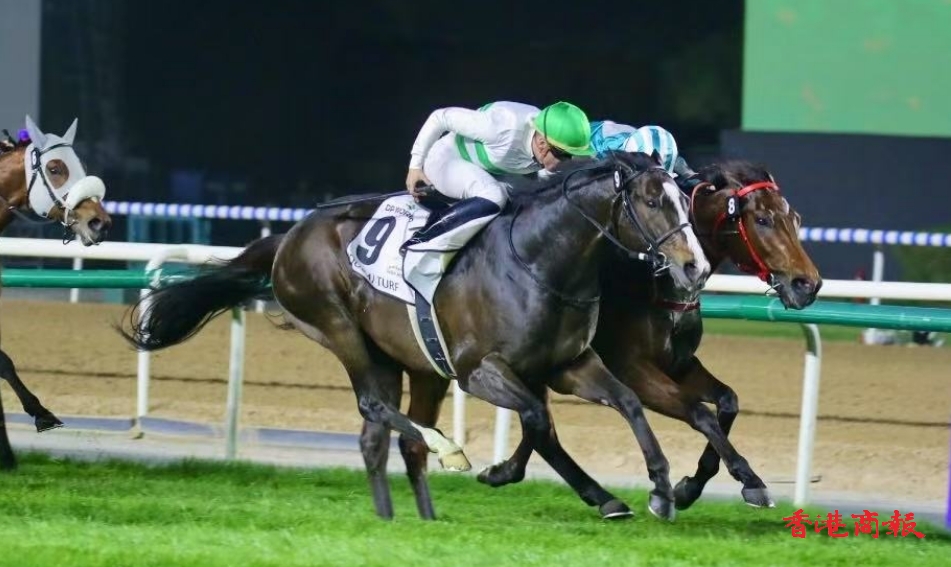 有片丨迪拜世界盃賽馬日直擊 影相僅負神志勇進 浪漫勇士再次飲恨
