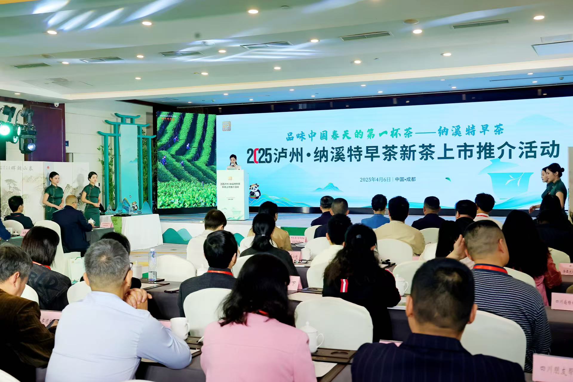 簽約1.33億元  瀘州·納溪特早茶新茶上市推介活動在成都舉行