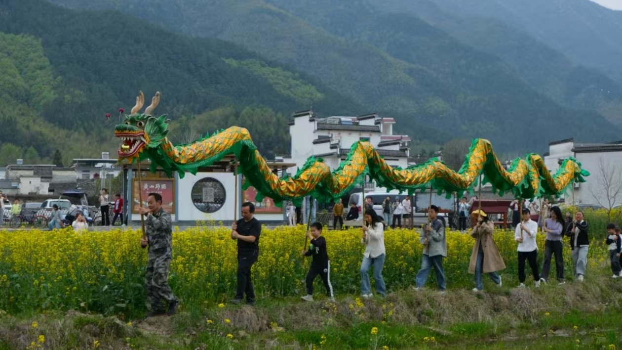 碧山花田游龍吸睛  皖黟縣碧陽鎮「非遺+賞春」線路「出圈」