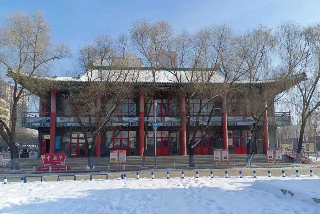 哈爾濱雙城：書香四溢 構建全域閱讀新生態