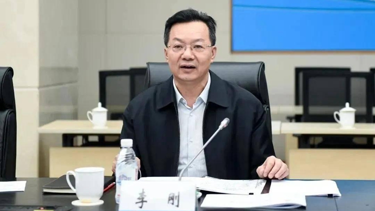 中央紀委國家監委駐中央組織部紀檢監察組原組長李剛被雙開