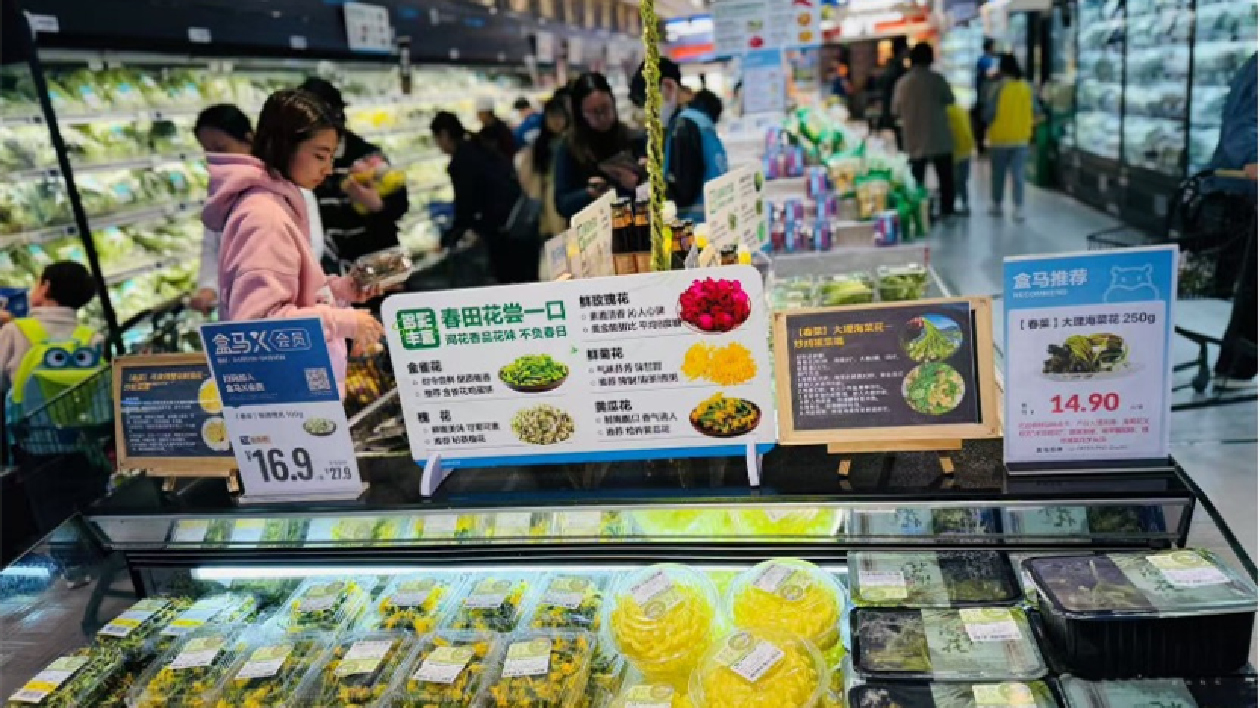 一天爆賣三千盒 菊花成「春菜頂流」 中山菊花上架盒馬一周賣空