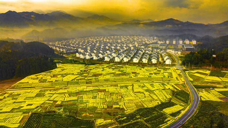 從「移居」到「樂業」  皖休寧月潭湖鎮的「蝶變之路」