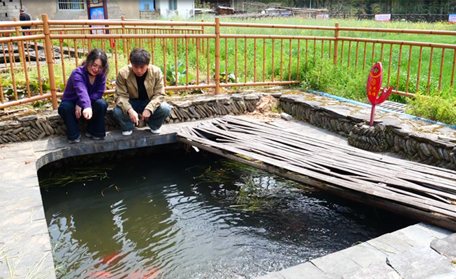 賞花又看魚  皖休寧泉水魚鄉引客來