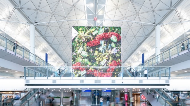 2025全球百大機場排名公布 香港國際機場升至第6名