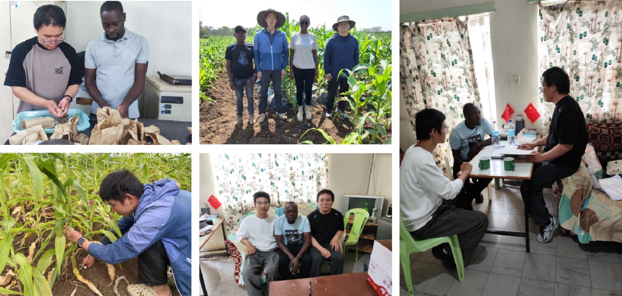 蘭州大學農業生態課題組追夢非洲