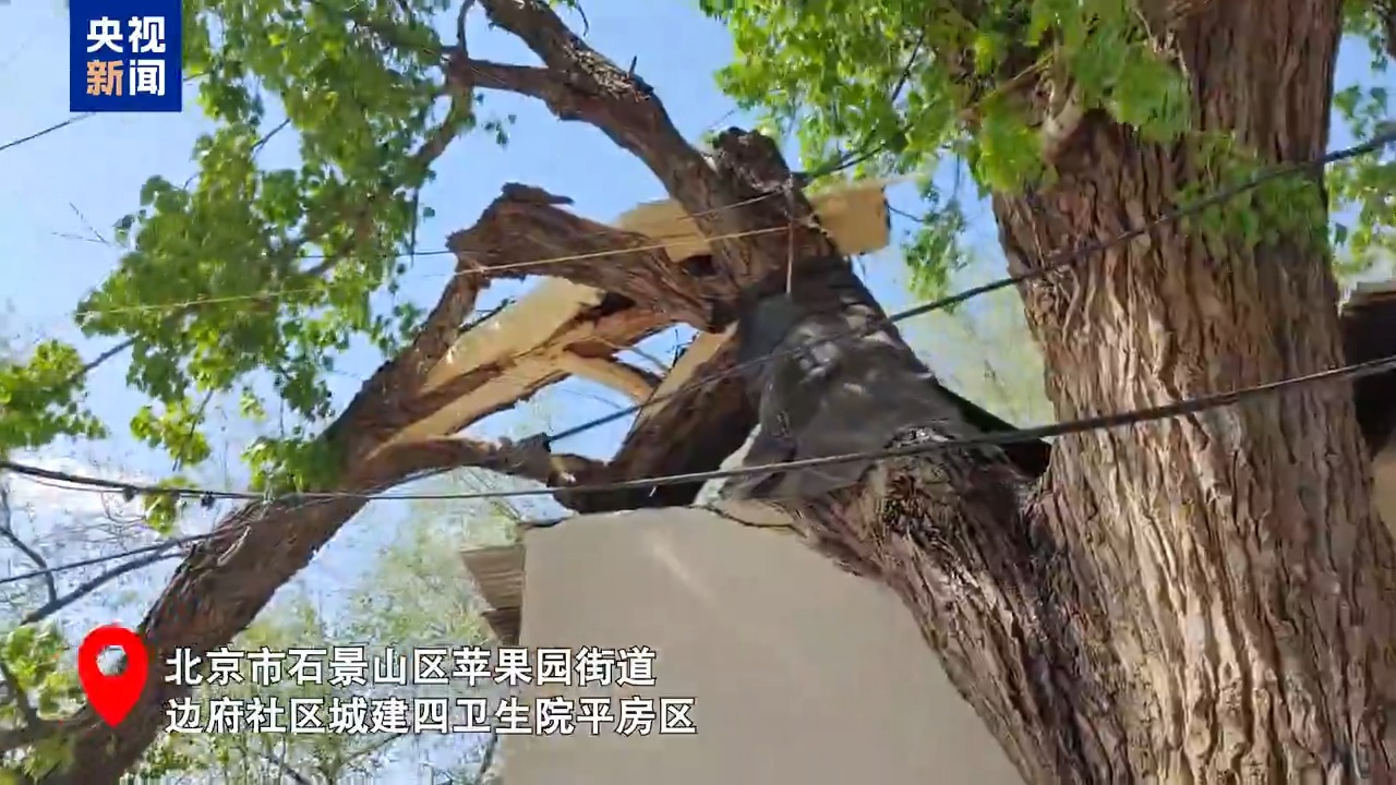 北京此次持續性大風天氣將在明天傍晚結束