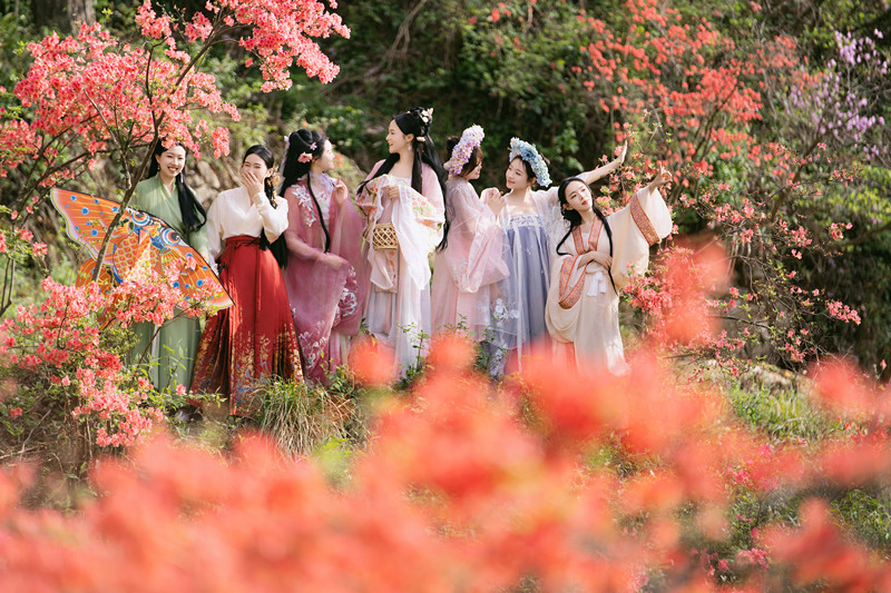 茶海翻湧山花競艷 「雲上岳西」繽紛如畫