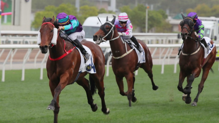 有片 | 第九場三班1000米爆大冷 三項彩池派彩破紀錄