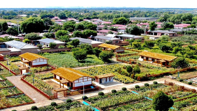 甘肅慶陽：全域「數」搶機遇 全員「鏈」接未來