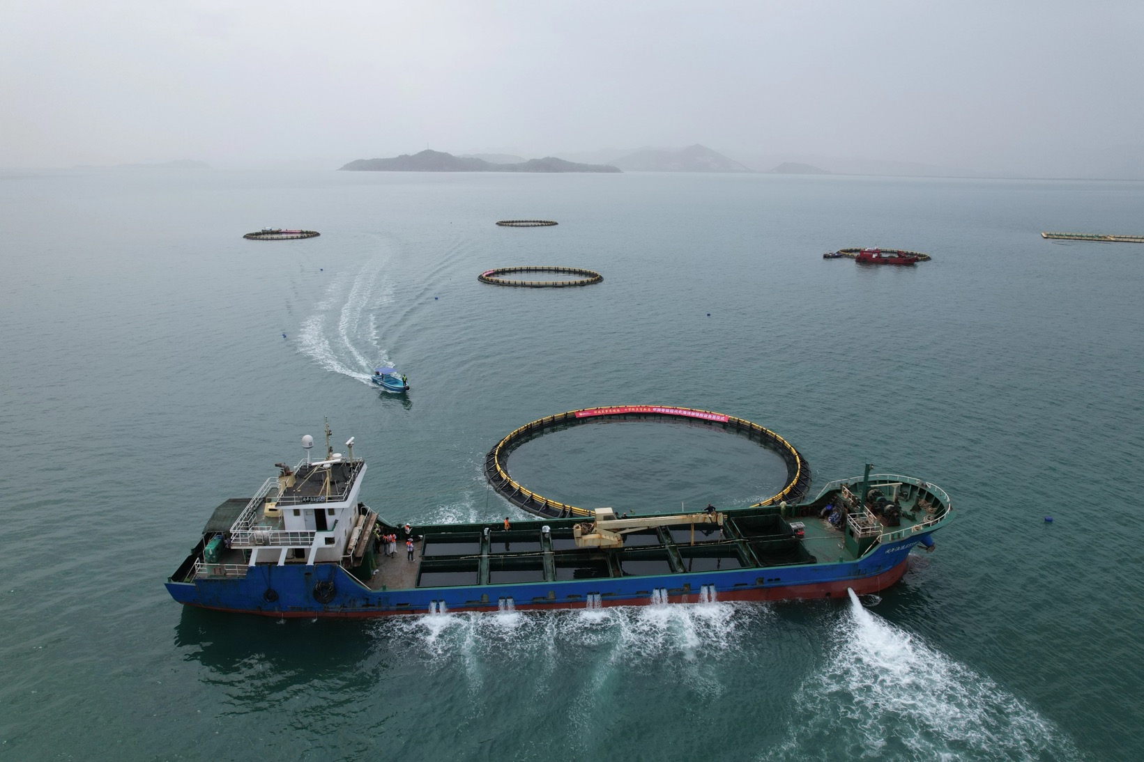 汕尾10萬斤魚苗落戶零碳海洋牧場