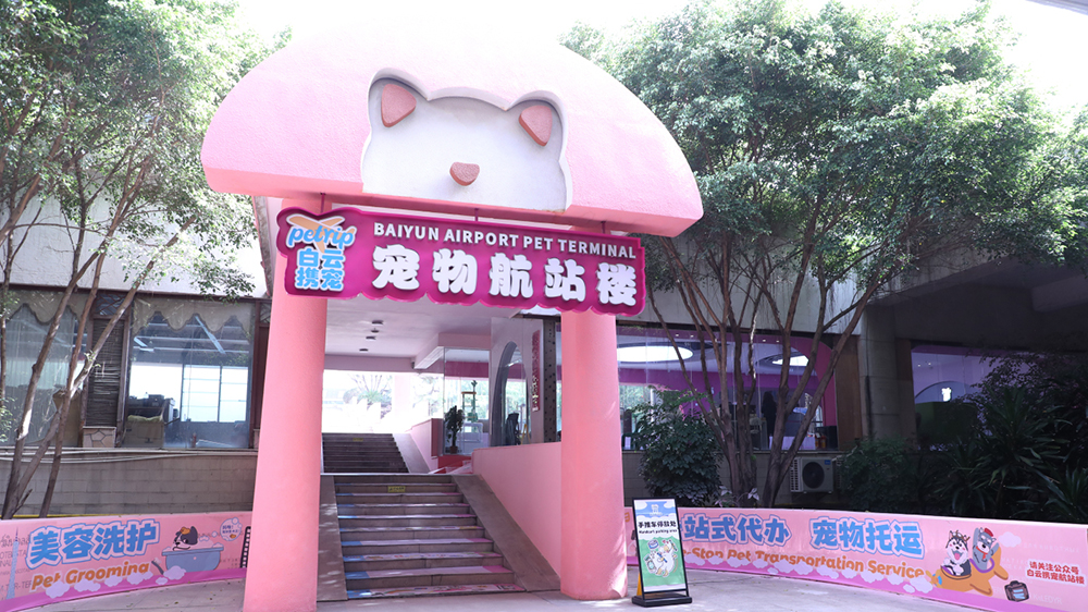 開闢「寵物友好機場」新賽道  全國首家寵物航站樓即將在穗白雲機場啟用