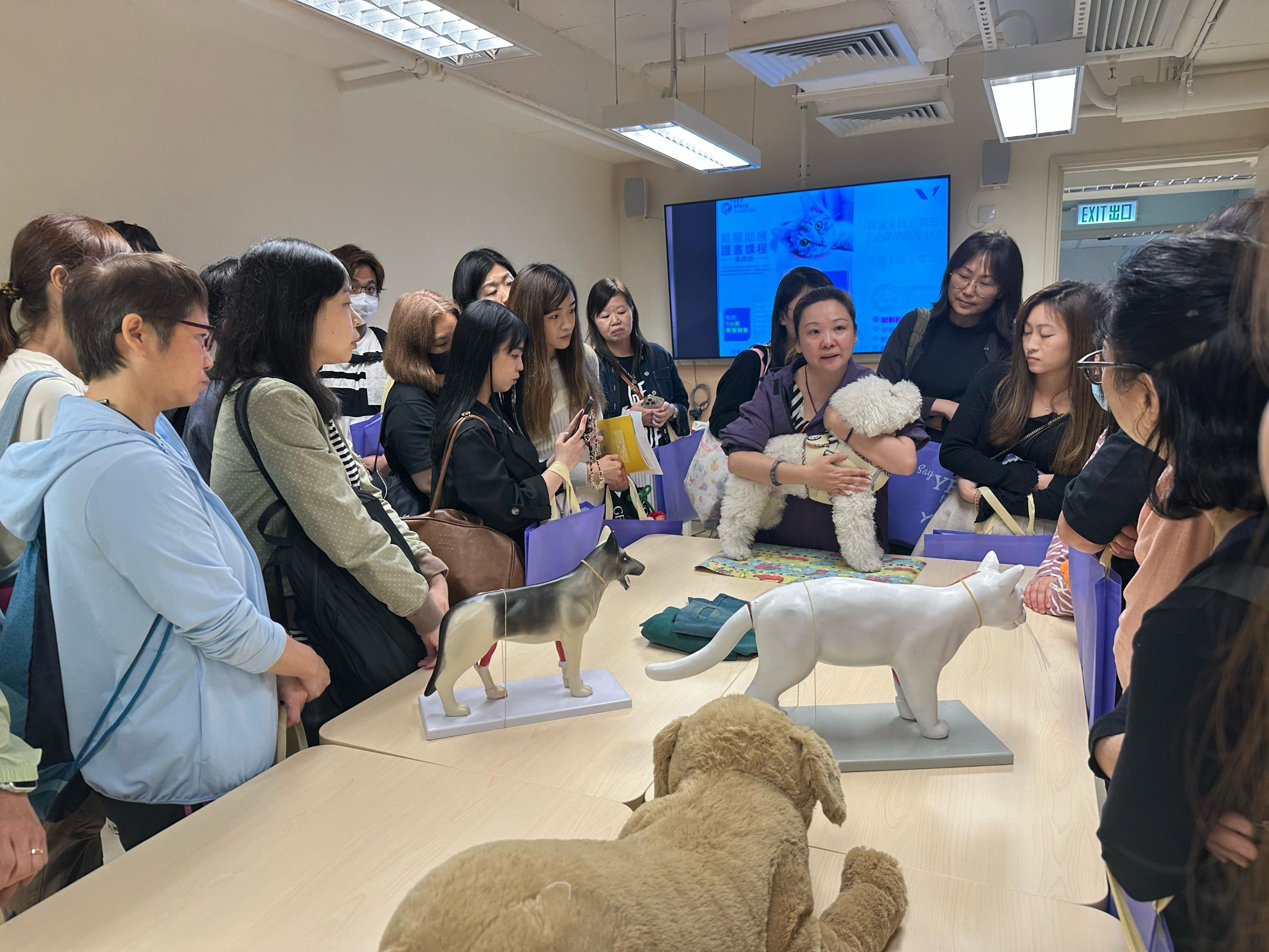 仁愛堂YES護理體驗日助探索職場新方向