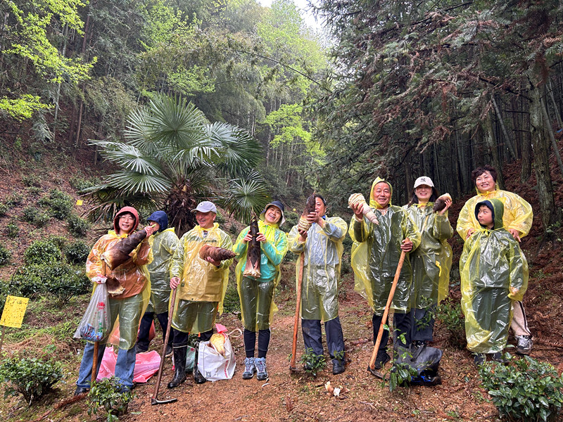 皖黟縣：尋味洪星 樂享筍趣