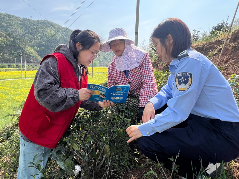 皖黟縣美溪：「清風廉動」 護航春茶安全生產