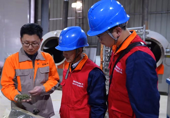 皖休寧縣：電力賦能「春茶香」