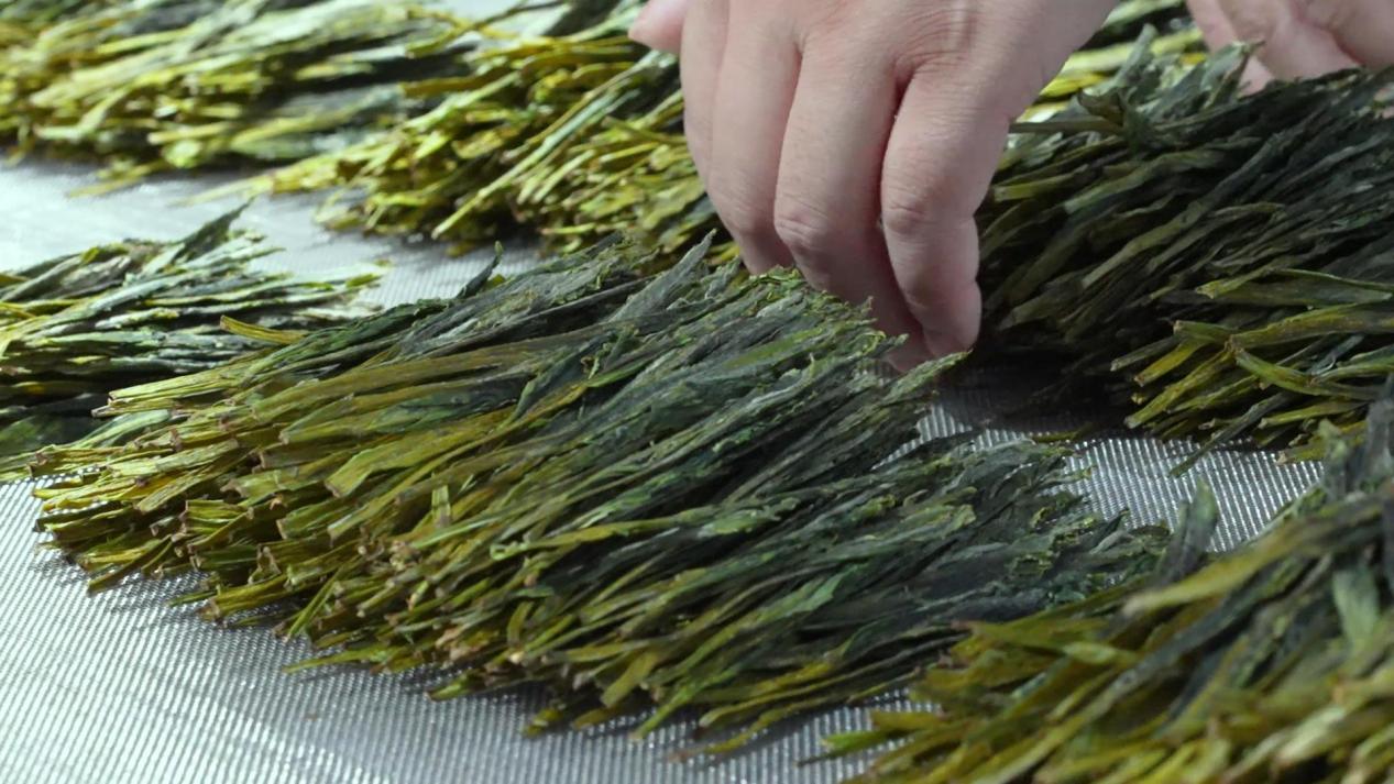 皖黃山區：猴魁蘭香展風采 匠心制茶續新篇