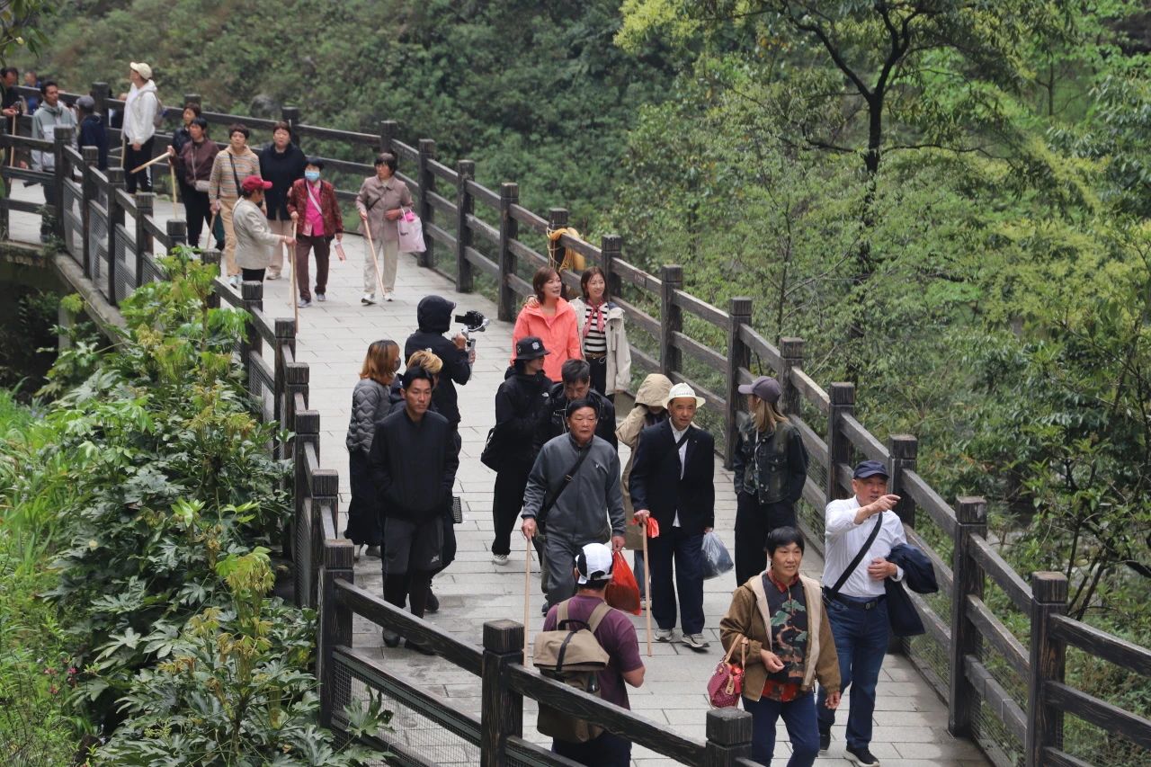 香港TVB攜眾星赴恩施 共繪文旅新篇章