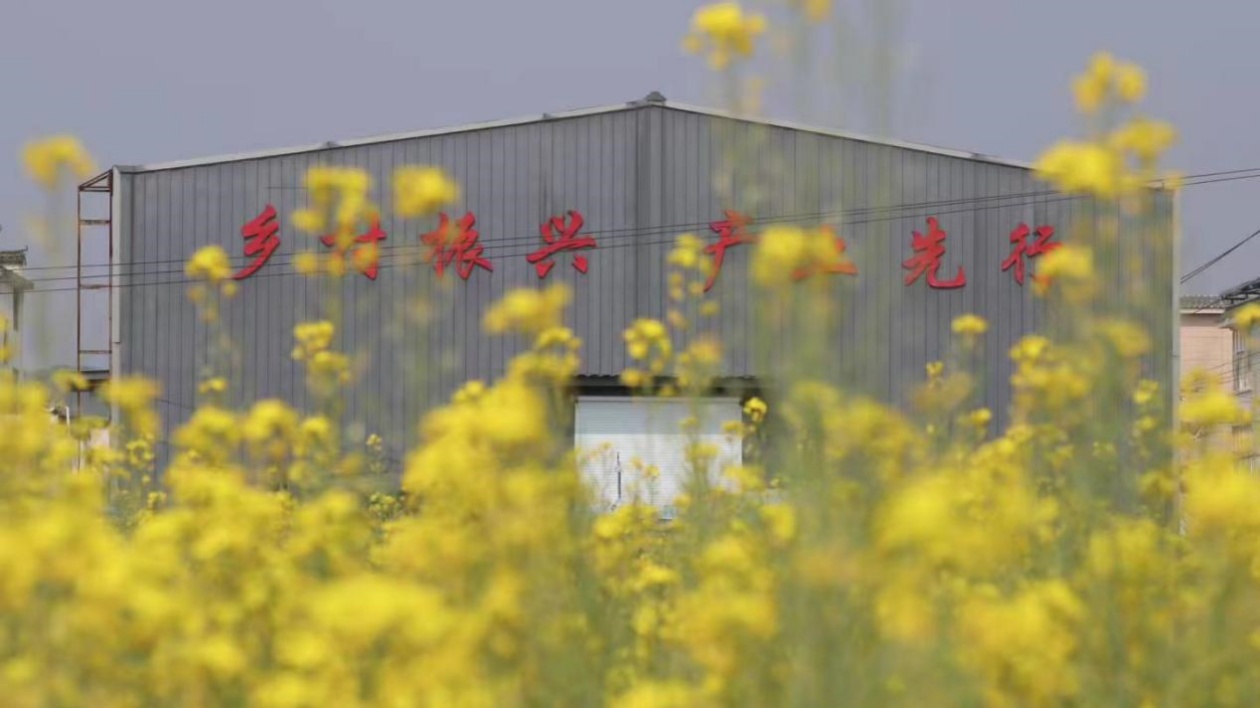 皖屯溪奕棋鎮：振興「通途」氣象新