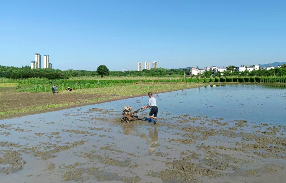 民情聯絡員共話「服務經」  皖休寧海陽鎮深化「紅網連心」行動
